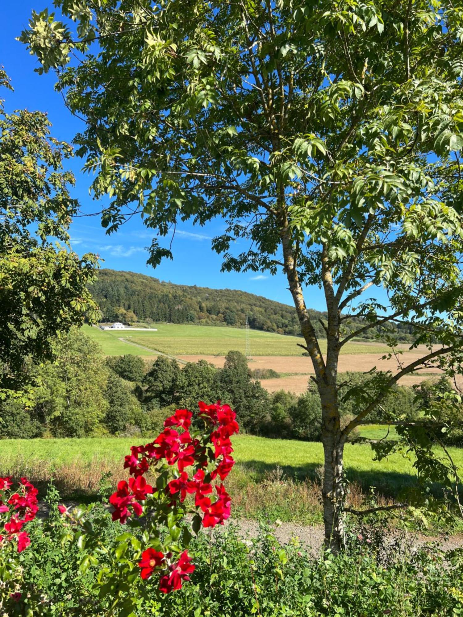 Netten Naturerlebnis Holz-Chalets Daun Exteriör bild